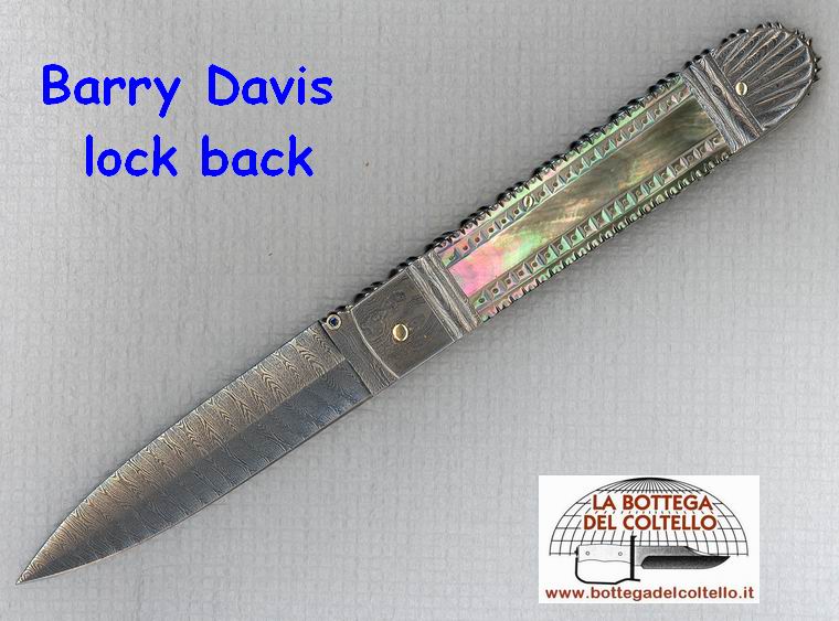 Barry Davis coltello chiudibile da collezione