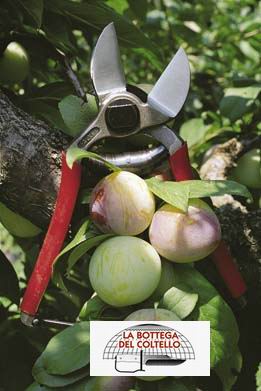 Falket forbice Doppia lama offset