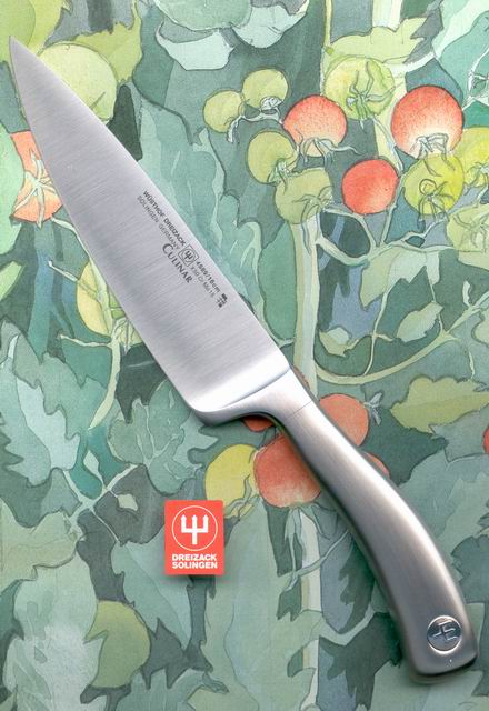 Coltello da cucina Wsthof 4589/16