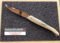 Coltello chiudibile Mongin Bieslois 12