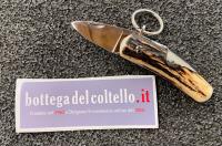 Mongin Coltello chiudibile cervo 6