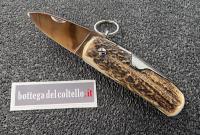 Mongin coltello Coup de Poing 9 cervo