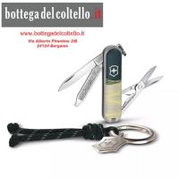 CLASSIC SD New York  STYLE