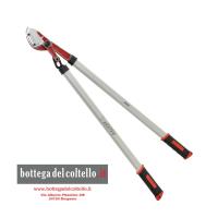 Falket Taglia - rami a cuneo